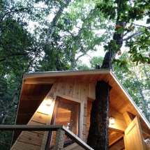 Sobre los árboles - foto 2