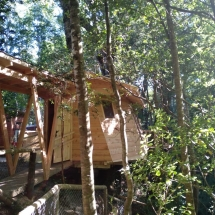 Sobre los árboles - foto 7