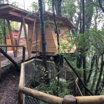 Sobre los árboles - foto 1