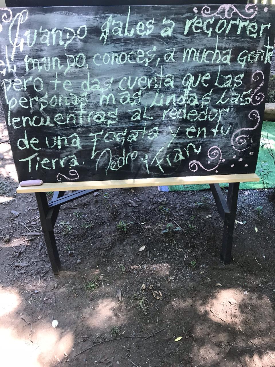 Foto Bosques de Loncotraro 13