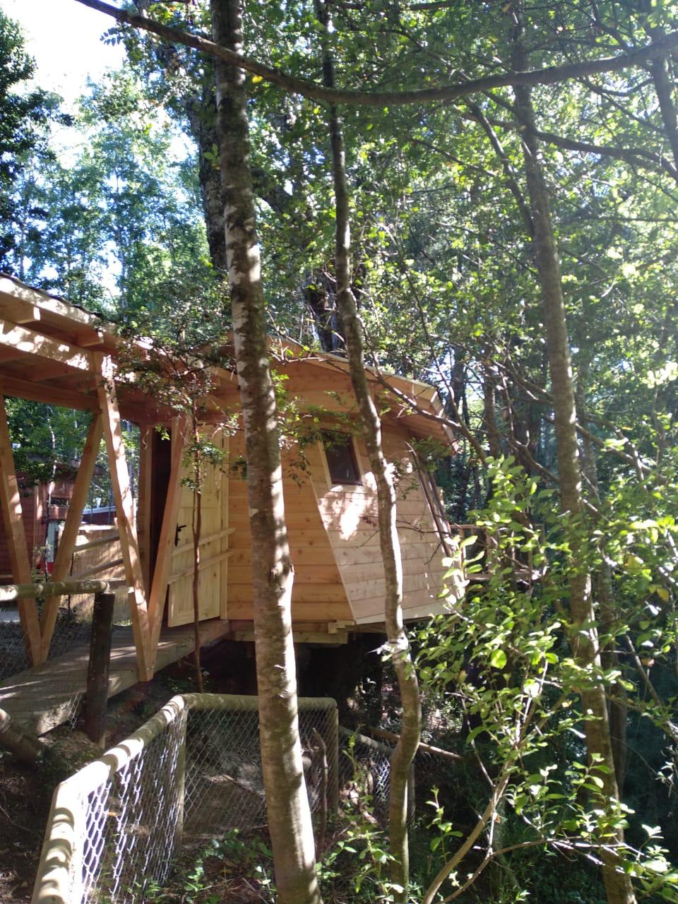 Foto Bosques de Loncotraro 27