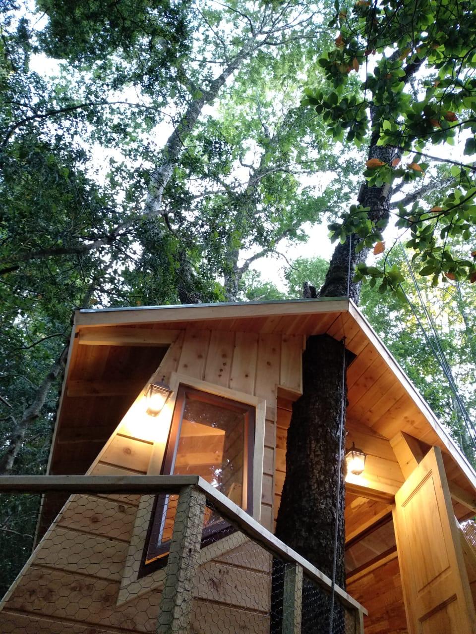 Foto Bosques de Loncotraro 28