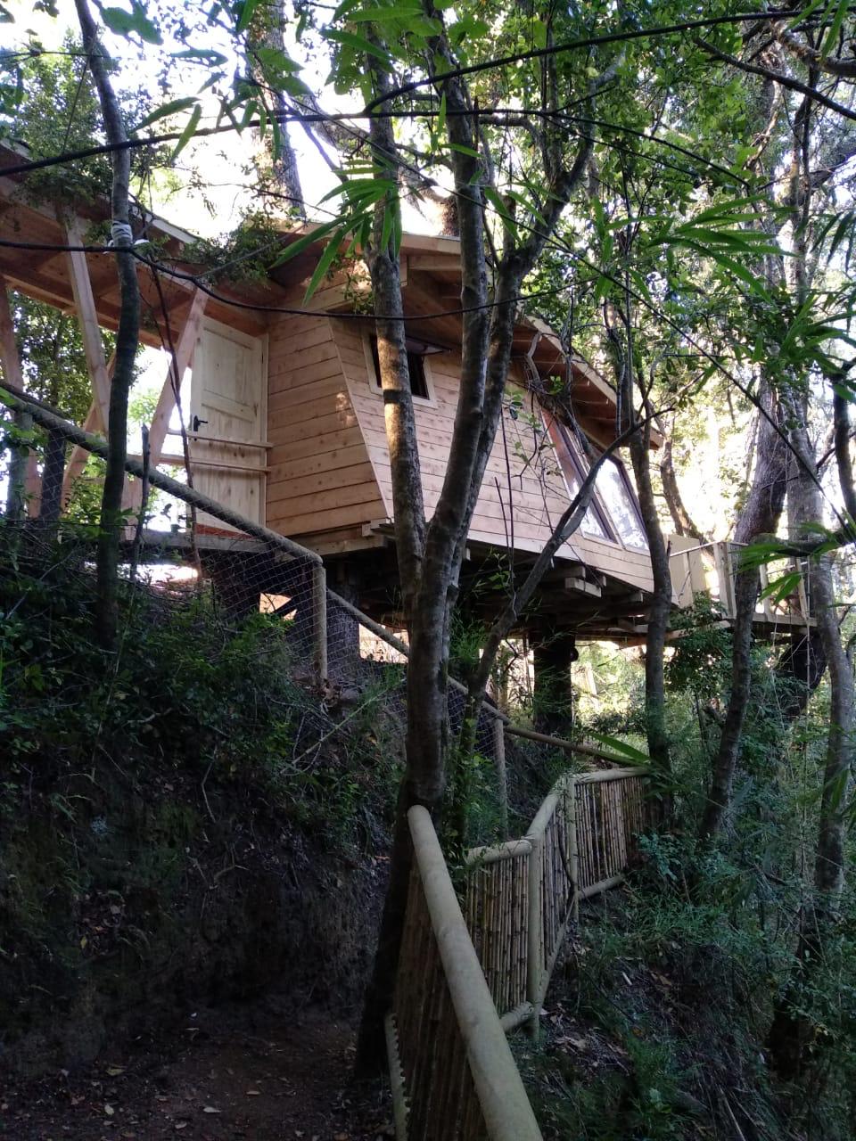 Foto Bosques de Loncotraro 30