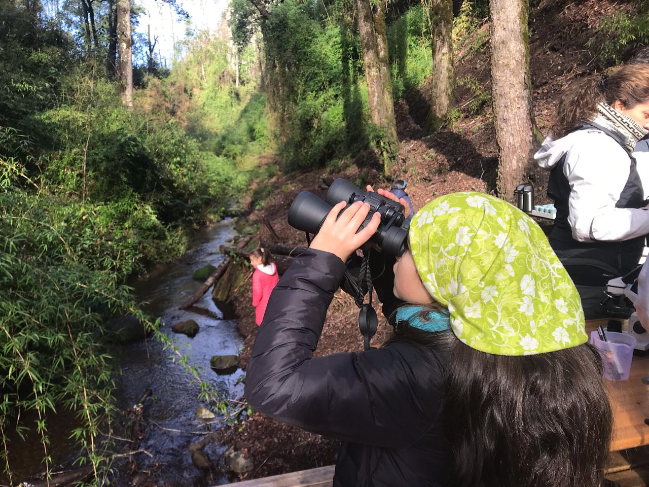 Foto Bosques de Loncotraro 45