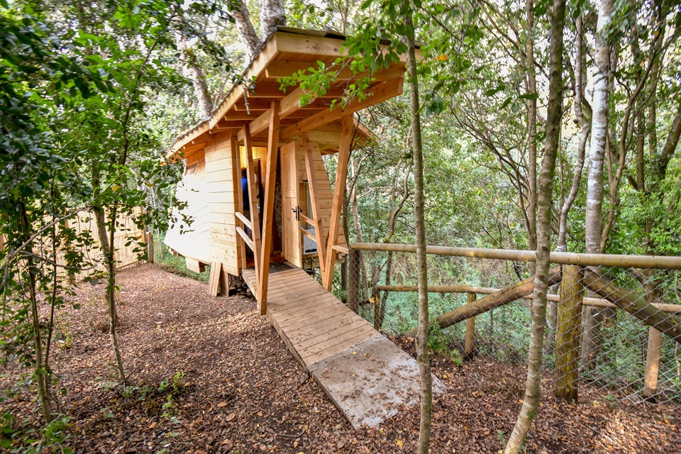 Foto Bosques de Loncotraro 60