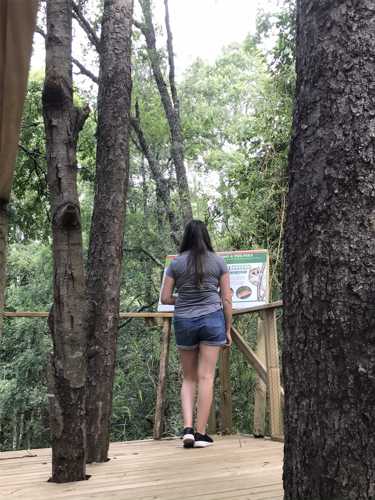 Foto Bosques de Loncotraro 35