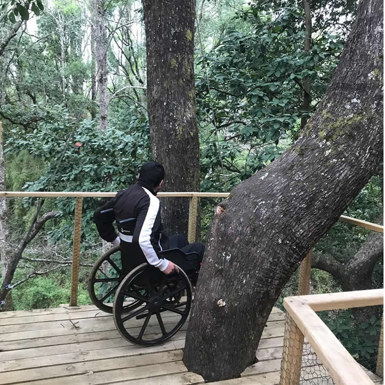 Foto Bosques de Loncotraro 3